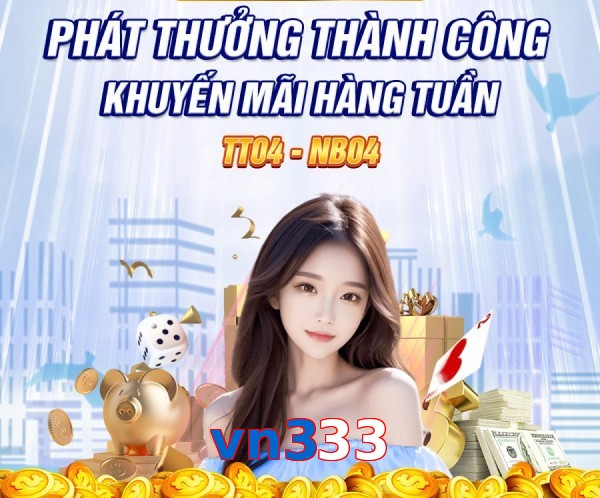 vn333