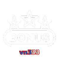 vn333