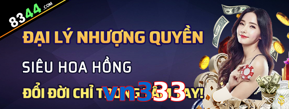 vn333